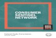 Consumer Sentinel Network Data Book 2019 - January 2020 · - Identity theft: 650,572 (20%) - Other: 0.9 million (28%) In 2019, people filed more reports about Identity Theft (20.3%
