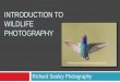 INTRODUCTION TO WILDLIFE PHOTOGRAPHY · PDF file 2014-08-05 · Why Wildlife Photography? One of the more challenging areas of photography Birds the most challenging of wildlife. Wildlife
