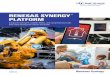 RENESAS SYNERGY PLATFORM...The Renesas Synergy Platform includes four different series of upward software-, architecture-, and pin-compatible Synergy MCUs. ... according to the international