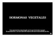064b hormonas vegetales - Botánica en Líneabotanicarum.weebly.com/uploads/5/4/7/6/54762723/064b...Efectos • Las auxinas promueven el desarrollo de la pared del ovario, la cual