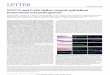 WNT7A and PAX6 define corneal epithelium …schen.ucsd.edu/lab/papers/paper100.pdfandconcomitantdecreasedexpressionofK19(6.2-foldlower,allP, 0.01;seeExtendedDataFig.1h).Wetookasimilarstrategytoexpand