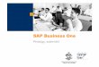 SAP Business One - Ingyenweb.humenedzser.tuti.hu/O/Logisztikai informaciorendszerek DFxx...SAP Business One Áttekintés, gyakorlati ismertetı Könyvelés Rugalmas készletkönyvelés