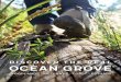 Discover the real OCEAN GROVE - environmentbellarine.org.au · This booklet will guide you to the natural wonders within and beyond our backyards. Enjoy discovering the real Ocean