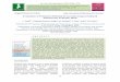 Evaluation of Protective Potential of Curcuma longa Aflatoxicosis …. Raja, et al.pdf · 2017-10-09 · Evaluation of Protective Potential of Curcuma longa in Induced Aflatoxicosis