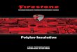 Polyiso Insulation - Firestone Building Productsfirestonebpco-old.com/assets/2014/09/firestone-polyiso-brochure.pdf · Polyiso Insulation in Canada Understanding the importance of