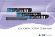 Programmable Logic Controller GLOFA-GM Series · 2016-01-20 · GLOFA-GM Series Programmable Logic Controller •IL(Instruction List) •LD(Ladder Diagram) •SFC(Sequential Function