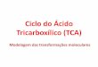 Ciclo do Ácido Tricarboxílico (TCA) · TCA Complexo piruvato desidrogenase 3 enzimas 5 coenzimas (NAD, CoASH, Tiamina Pirofosfato, Lipoato e Riboflavina (ou FAD) Produto : Acetil-CoA,