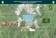 Eastern Prairie Fringed Orchid: The Possibility of Recovery...Eastern Prairie Fringed Orchid: The Possibility of Recovery Sean N. Longabaugh 1, Craig A, Annen1, John van Altena2 1Integrated
