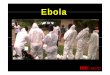 Ebola - Ministry of Public Healthnih.dmsc.moph.go.th/ebola/file/Ebola.pdf · Ebola treatment เช้ือ Ebola (1000 pfu) TKM :‐SiRNA targeting ZEBOV (polymerase L, VP 24, VP35