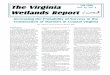The Virginia Vol. 15, No. 3 Fall 2000 Wetlands Reportccrm.vims.edu/publications/publications_topics/vwr/VWR-2000-fall.pdf · 9/8/2000  · Fiddler Crab Uca species by Walter I. Priest,