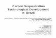Carbon Sequestration Technological Development in Brazil · 2012-12-05 · Carbon Sequestration Technological Development in Brazil Paulo Cunha (1) Thais Murce (1) João Marcelo Ketzer