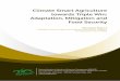 Climate Smart Agriculture towards Triple Win: Adaptation ... papers/MANAGE... · Climate Change, Agriculture and Food Security (CCAFS), National Adaptation Programmes of Action (NAPAs),
