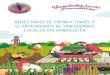 Sevilla Enero 2020 - redandaluzadesemillas.org · -Elaboración Spiga Negra-Harinera El Molino -La Huerta Compartida-Tierras del Múrtiga-La Mano Verde-Huerto de Librada-La Huerta