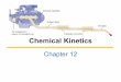 Chemical Kinetics - Weeblydfard.weebly.com/uploads/1/0/5/3/10533150/1b_ch12.pdf · Chemical Kinetics Chapter 12. Chapter 12 Slide 2 Reaction Rates 01 ... chemical equation. 1. Chapter