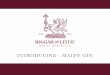 INTRODUCING - MALFY GIN GIN PRESENTATION International.pdfFrom the Birthplace of Gin – ITALY…. 5 Monks looking for new medicines along the Amalfi Coast mixed Juniper berries with