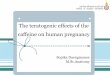 The teratogenic effects of the caffeine on human pregnancyiw.vet.psu.ac.th/ge/Docs/plan/web%20plan/KM/... · Caffeine The effects of the caffeine in case reported 1. low birth weight