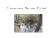 Ecosystems: Nutrient ‘Cycles’Ecosystems: Nutrient ‘Cycles’ ... eutrophication. Phosphorous • Where does it come from?-not a gas-weathers from rock-reuse from already present