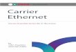 Essentials Carrier Ethernet - UPC · the services of a competent professional person should be sought. neither the publisher nor the author shall be liable for damages arising herefrom