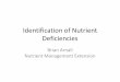 Identification of Nutrient Deficiencies - Brian Arnallnpk.okstate.edu/presentations/4-11/Identification of Nutrient DeficienciesNE.pdf · Identification of Nutrient Deficiencies Brian