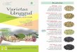 New Booklet 2016 fix - Balitkabibalitkabi.litbang.pertanian.go.id/wp-content/uploads/... · 2017-03-16 · GROBOGAN (2008) Potensi hasil 3,4 ton/ha Rata-rata hasil 2,77 t/ha Umur