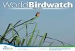2 WorldBirdwatch - birdlifebotswana.org.b · Managing Editor Martin Fowlie News Editor Nick Langley The views expressed are those of the contributors and not necessarily those of