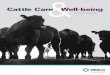Cattle Care &Well-being · 2019-01-18 · 2 Cattle Care& W SURVEY REPORT ell-being INDUSTRY OUTLOOK The cattle industry today is facing increased challenges, including stronger consumer