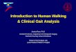 Introduction to Human Walking & Clinical Gait Analysis · Introduction to Human Walking & Clinical Gait Analysis Jessica Rose, Ph.D. ... 3-D Joint Motion 8 Digital Motion Capture