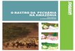 O RASTRO DA PECUÁRIA NA AMAZÔNIAgreenpeace.com.br/amazonia/pdf/atlasweb.pdf · 2009-01-23 · o rAstro dA pecuáriA nA AmAzôniA 3 introdução d e 2000 a 2007, o desmatamento na