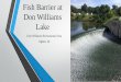 Fish Barrier at Don Williams Lake - University of Iowa...Fish Barrier Project at Don Williams Lake Spillway Issues at Don Williams Lake. Alternative Solutions and Selection of Alternative