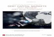 FOR INSTITUTIONAL AND CORPORATE CLIENTS ONLY DEBT …...debt capital markets 2017 review and 2018 forecast november 2017 i year-end report from the sg debt capital markets and syndicate