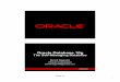 Oracle Database 10g - VLDB · 4 Page ‹#› Oracle’s Approach: Server Resident Technology built inside the database server – Eliminate management problems rather than “hiding”