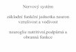 Nervový systém základní funkční jednotka neuron vzrušivost ... · Nervový systém základní funkční jednotka neuron vzrušivost a vodivost neuroglie nutritivní,podpůrná