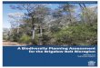 Biodiversity Planning Assessment for the Brigalow Belt ... · A Biodiversity Planning Assessment for the Brigalow Belt Bioregion – Summary Report Version 2.1 6 1.2 Brigalow Belt