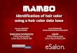 Identification of hair color using a hair color data base ... · BOSSA NOVA TECHNOLOGIES 11922 Jefferson Blvd. Culver City, CA 90230 USA Estelle BAUMHAUER, Anthony BROZOZOWSKI & Rabih