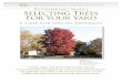 IOWA DEPARTMENT OF NATURAL RESOURCES Rethinking Maple ... works... · Rethinking Maple Selecting Trees . For Your Yard. A Case for Species Diversity. IOWA DEPARTMENT OF NATURAL RESOURCES