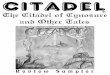CITADELCITADEL® The Citadel of Cynosure and Other Tales - Review Sampler The main piece on the album is “The Citadel of Cynosure,”a 10-part suite that for some reason, is split