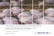 Life Cycle Assessment of British Pork · Life Cycle Assessment of British Pork Environmental impacts of pig production 2008-2012 and forecast to 2020 Executive Summary ... practice