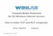 Towards Better Protocols for 3G Wireless Internet Access · Towards Better Protocols for 3G Wireless Internet Access or how to make TCP and RLP cooperate IAB September 29, 1999 