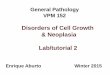 Disorders of Cell Growth & Neoplasia Lab/tutorial 2people.upei.ca/eaburto/Neoplasia-Lab2/Neopl-Lab2-15.pdf · 1.Give a morphologic diagnosis. 2. What kind of local effect is commonly