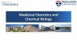 Medicinal Chemistry and Chemical Biology · Computational Medicinal Chemistry. Drug Discovery at Newcastle Drug discovery established in 1990 Co-directed by Roger Griffin Funded by
