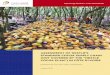 ASSESSMENT OF NESTLÉ’S STANDARD COCOA SUPPLY …...2 traceability system, it would be a first step toward organizing and better implementing labor standards across this part of