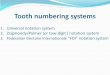 1. Universal notation system 2. Zsigmondy/Palmer (or tow ... · Each tooth is divided into two parts, the crown and the root. The crown portion of the tooth is covered with enamel