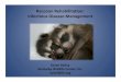 Raccoon Rehabilitation: Infectious Disease …...Source: Miller, L., Hurley, K. Infectious Disease Management in Animal Shelters. Wiley-Blackwell; 2009 Immunity Onset MLV vaccines
