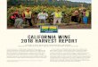 CALIFORNIA WINE 2018 HARVEST REPORT · 2019-02-12 · 3 CALIFORNIA INE 2018 ARVEST EPORT Wine Region Reports Map of California Winegrowing Regions cooled down in time to allow the