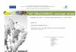 WP 6 Deliverable 6.6 Report on integrated sustainability ... · as of the SWOT analysis, which covers further sustainability aspects especially in the social domain, and the ethical