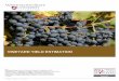 VINEYARD YIELD ESTIMATION Yield Estimation- WSU.pdf · Figure 1. Grape processing for wine and juice production. Crush facilities and wineries need advanced notice of expected yield