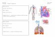 elizabethmoretz.weebly.com · Web viewAnatomy – Graphic OrganizerMoretz Body System: System Function(s): Main Organs: Organ Function(s): Comparison(s): compare to cardiovascular