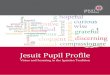 Jesuit Pupil Profile · The Jesuit Institute is a work of the British Province of the Society of Jesus. It is a partnership of Jesuits and lay people to promote Jesuit identity, Christian