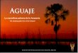 Aguaje - repositorio.iiap.org.perepositorio.iiap.org.pe/bitstream/IIAP/76/2/aguaje_libro_2006.pdf · Instituto de Investigaciones de la Amazonía Peruana ... places into your hands