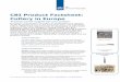 CBI Product Factsheet: Cutlery in Europe · CBI Product Factsheet: Cutlery in Europe ‘Practical market insights into your product’ European consumption of cutlery is substantial